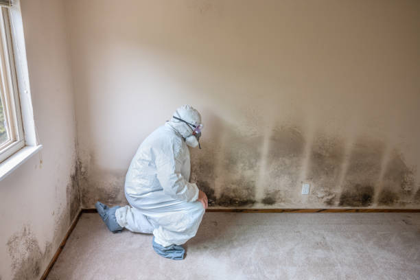 Water Damage Restoration in London, CA